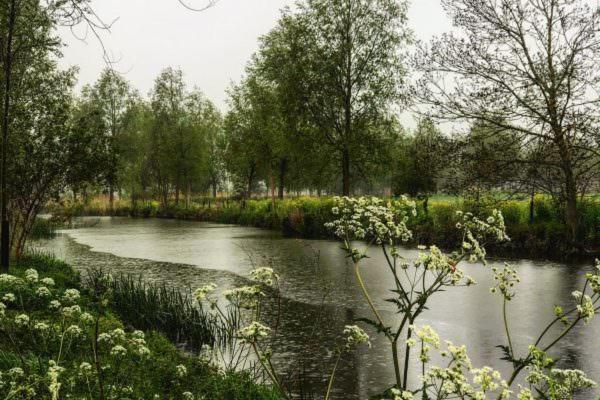 Talbooth House & Spa ديدام المظهر الخارجي الصورة
